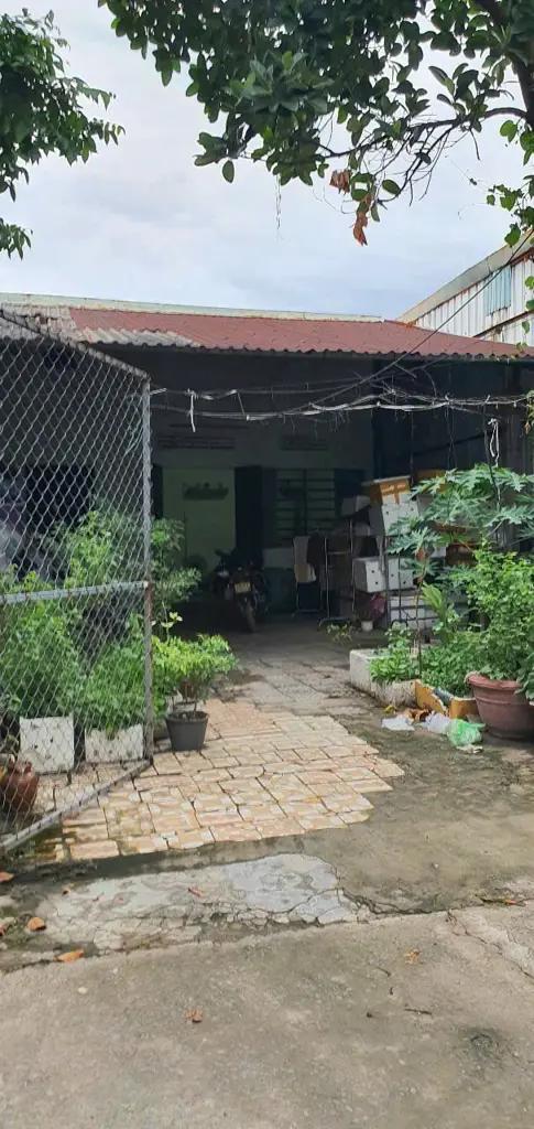 Main-Mua ngay lô đất tặng kèm nhà cấp 4, Q.Liên Chiểu, TP. Đà Nẵng-2