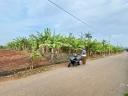 Thumb-Mặt tiền Đường nhựa Suối Nghệ, Châu Đức, BR-VT-3