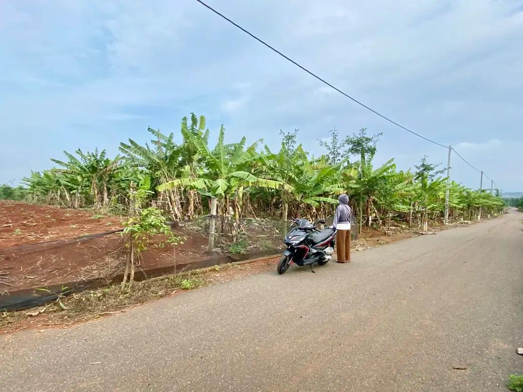 Main-Mặt tiền Đường nhựa Suối Nghệ, Châu Đức, BR-VT-2
