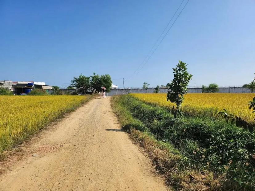 ĐẤT 2 MẶT TIỀN XÃ HÀM CHÍNH GẦN TRẠI GIAM HÀM CHÍNH CŨ