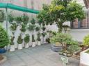 Thumb-BIỆT THỰ 629M2 - 2 TẦNG - TRUNG TÂM THỦ DẦU MỘT - GIẢM 2 TỶ - CHỈ 17TR/M2-3