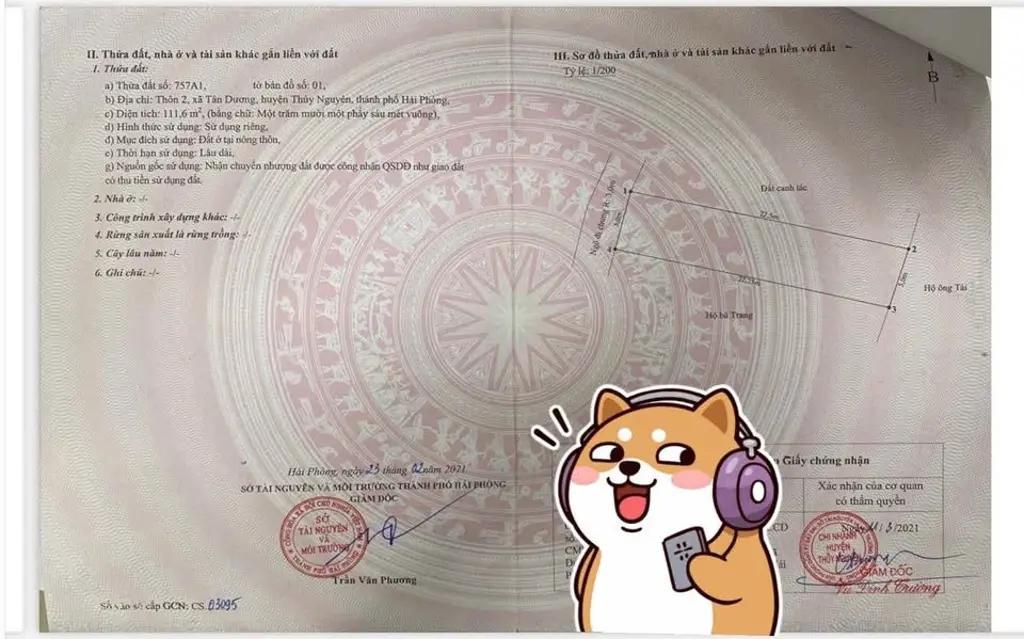 Main-Chuyển nhượng lô đất trung tâm Phường Thuỷ Nguyên ( Xã Tân Dương cũ)-2