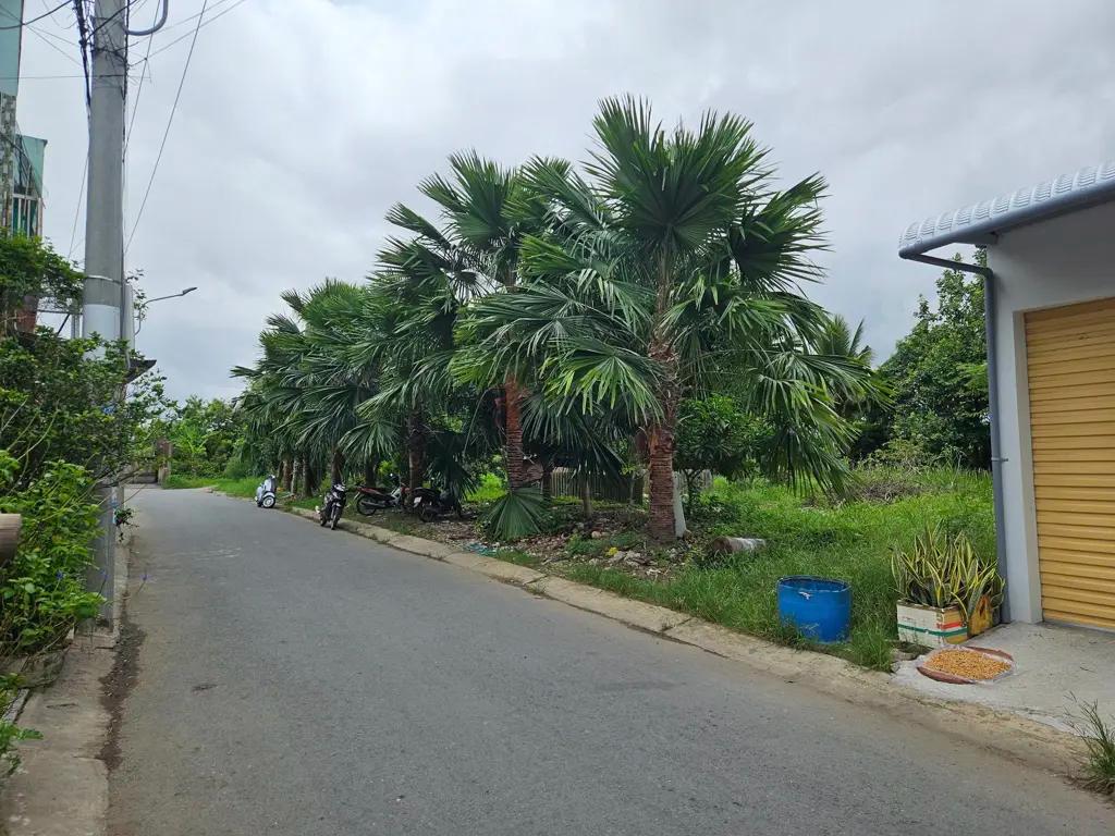Main-BÁN NỀN ĐẸP 100% THỔ CƯ DIỆN TÍCH RỘNG TRUNG TÂM TỈNH CÀ MAU. NỀN GẦN ĐƯỜNG TRẦN HƯNG ĐẠO P5, TỈNH ĐỘI & SÂN BAY BẾN XE P6-1