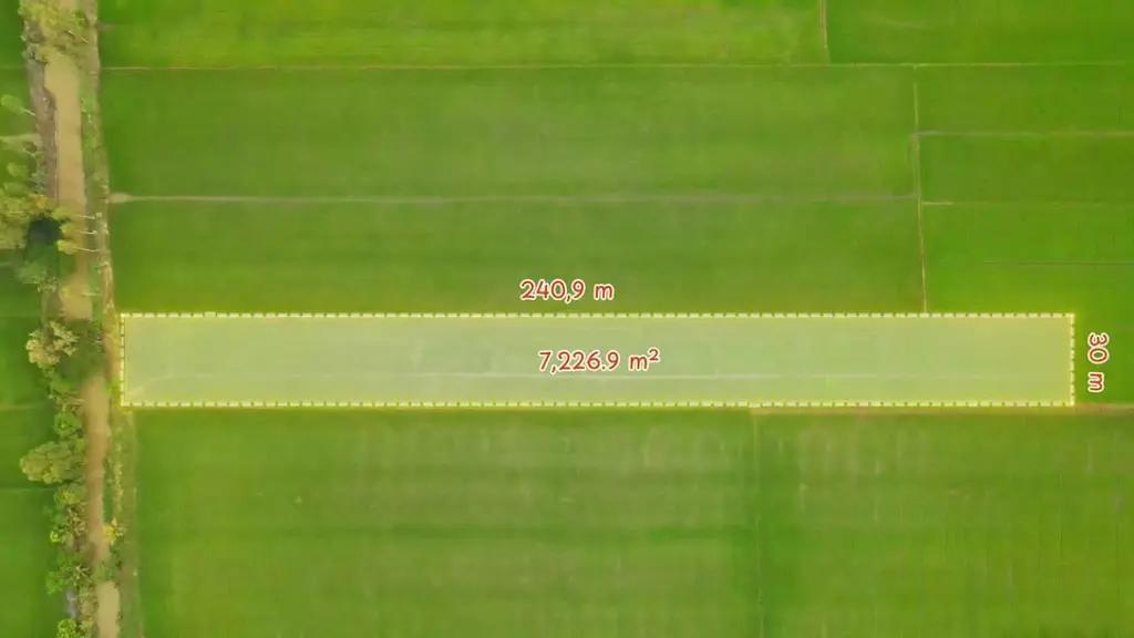 Main-Cần bán đất nông nghiệp 7226,9 m2 xã Trường Long Tây, Huyện Châu Thành A, Hậu Giang-0