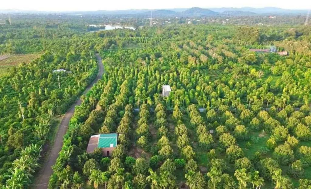 Main-Cần bán 9 sào rẫy tại hồ buôn bông, Eakao, TP. Buôn Ma Thuột-0
