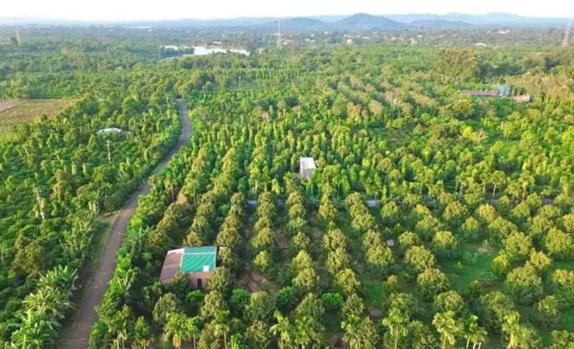 Cần bán 9 sào rẫy tại hồ buôn bông, Eakao, TP. Buôn Ma Thuột