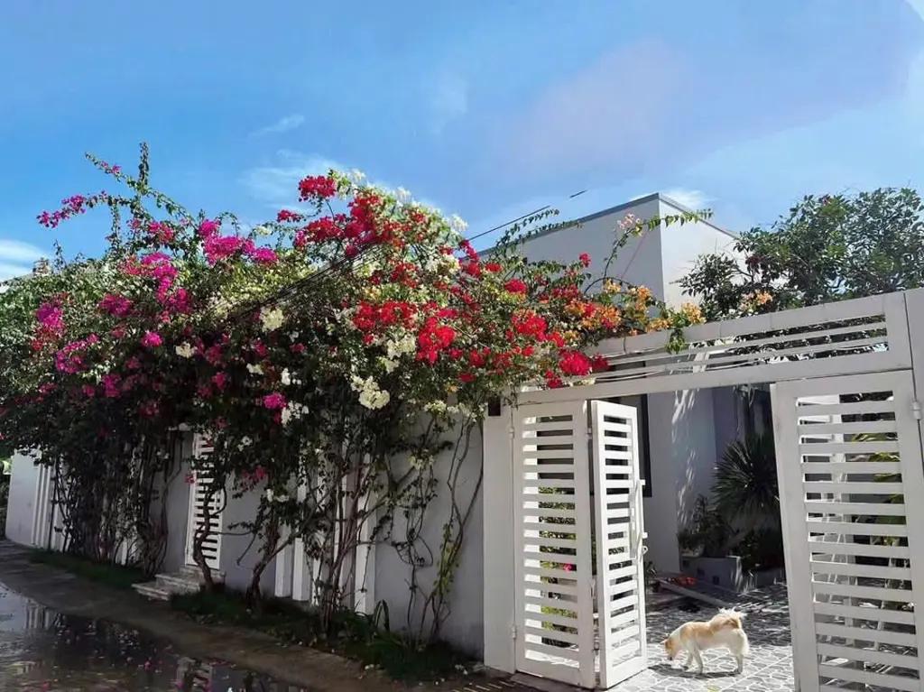 Main-HOMESTAY SÂN VƯỜN ĐẸP TẠI PHẠM THỊ NGƯ, PHONG NẪM-0