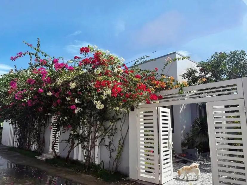 HOMESTAY SÂN VƯỜN ĐẸP TẠI PHẠM THỊ NGƯ, PHONG NẪM
