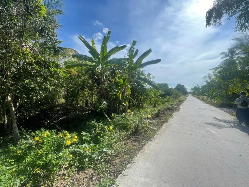 Bán 2 mảnh đất CHÍNH CHỦ xã Nhơn Nghĩa, Phong Điền, Cần Thơ