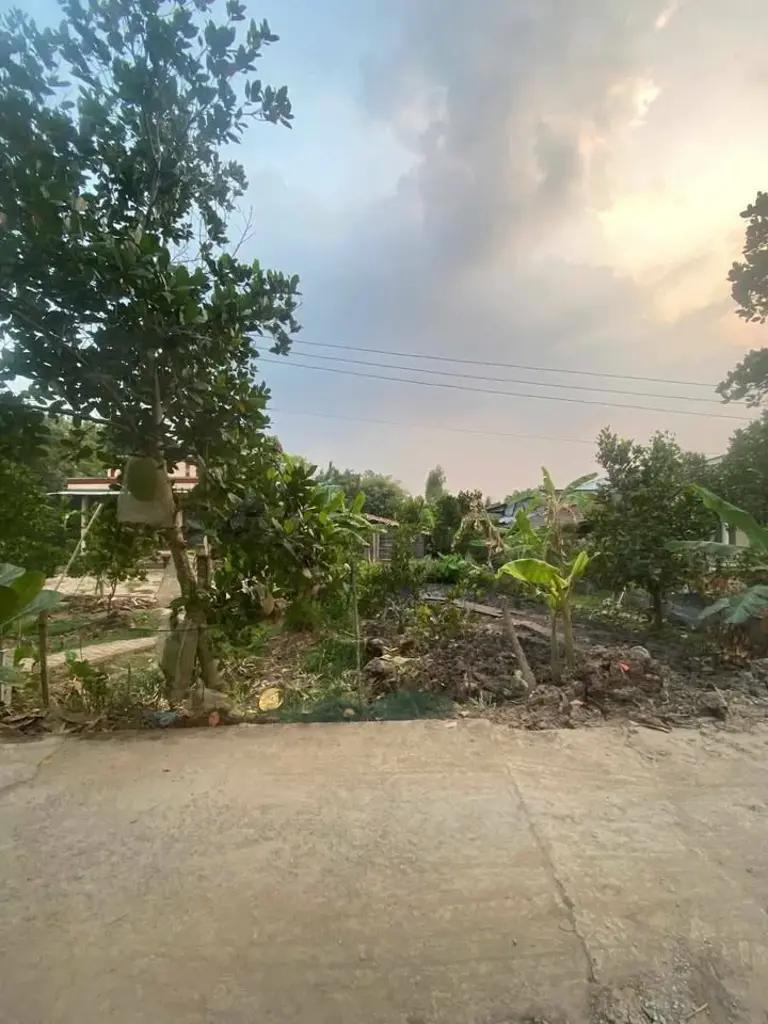 Main-Chính chủ bán cặp nền gần KCN Bình Tân. Vị trí sát bên Thị Xã Bình Minh-3