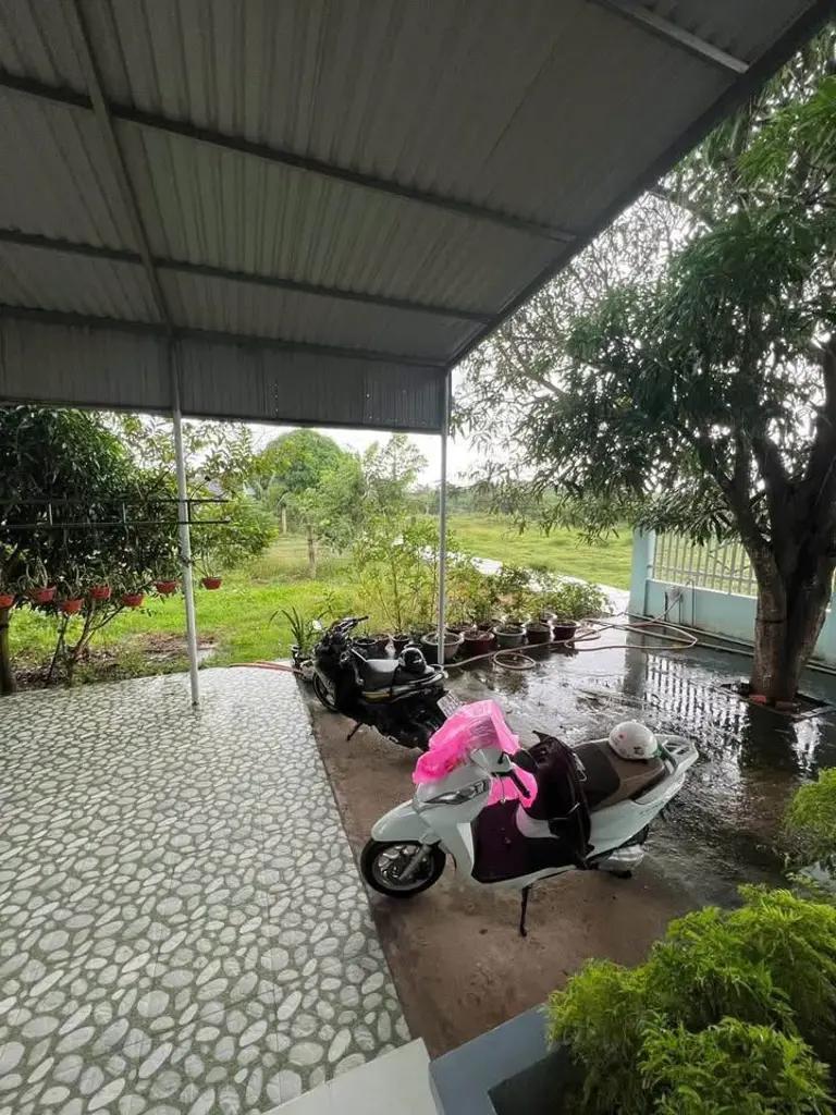 Main-BÁN NHÀ VƯỜN HÀM HIỆP -HÀM THUẬN BẮC - BÌNH THUẬN-5