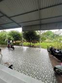 Thumb-BÁN NHÀ VƯỜN HÀM HIỆP -HÀM THUẬN BẮC - BÌNH THUẬN-7