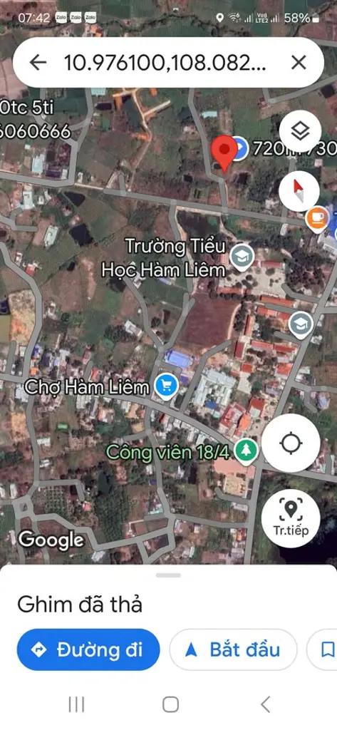 550m2 cây trồng thôn 1 Hàm Liêm