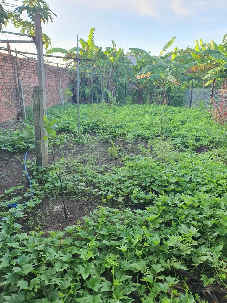 Main-Căn Nhà Mặt Tiền Đường Nhựa Đẹp gần Trường Học Nhà Thờ - xã Đồi 61 - Trảng Bom-3