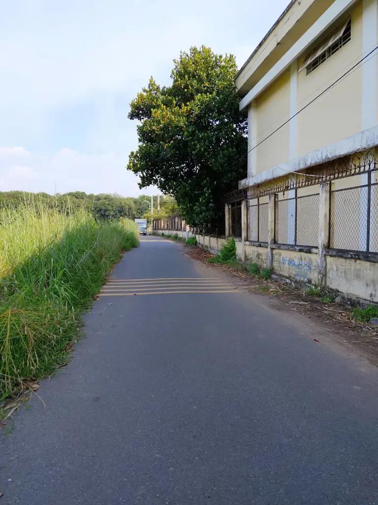 4920m2 Tân, Định Bến Cát, Bình Dương