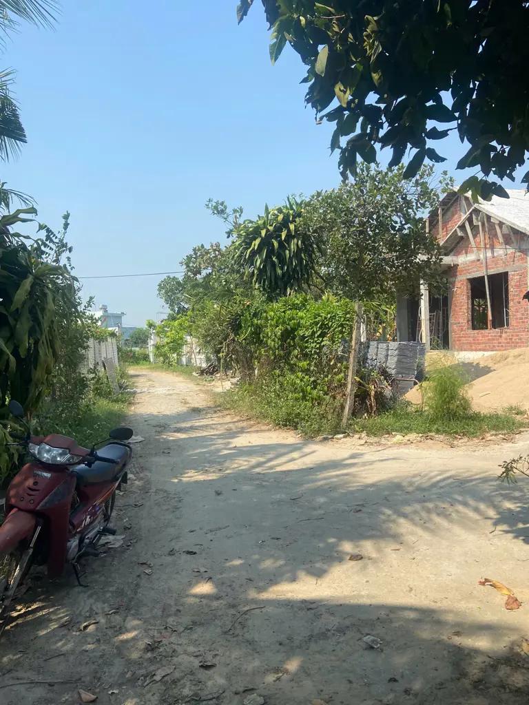 Main-Bán Đất Nhà Vườn 600m2 – Gần Nam Kỳ Khởi Nghĩa – Đầu Tư Tách 5 Lô Cực Đẹp-1