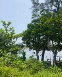 Thumb-🔥 LÔ ĐẤT VIEW TRỰC DIỆN SÔNG – NAM ĐÀ NẴNG – KHÔNG GIAN CỰC ĐẸP! 🔥-2