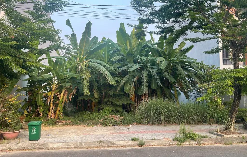 Main-🔥 ĐẤT BÙI THIỆN NGỘ – HÒA XUÂN – ĐƯỜNG 7M5 – GIÁ 6.35 TỶ! 🔥-2