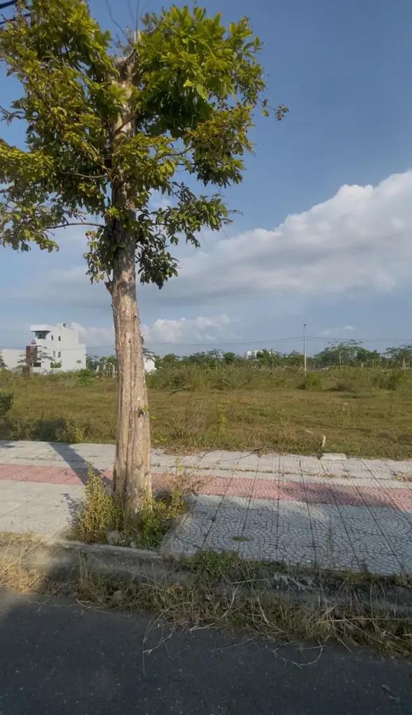 Main-🔥 ĐẤT MẶT TIỀN ĐỒNG KHOA – GIÁ RẺ BẤT NGỜ – NGAY CÔNG VIÊN BỜ SÔNG! 🔥-7