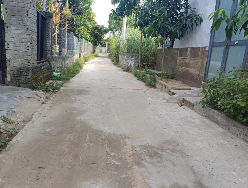 Main-🔥 BÁN ĐẤT HÒA QUÝ – 100M2 CHỈ 2,X TỶ 🔥-1