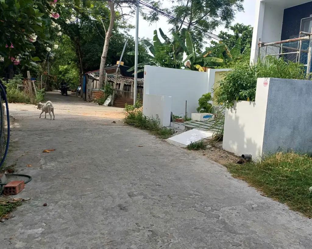 Main-🔥 BÁN ĐẤT HÒA QUÝ – 100M2 CHỈ 2,X TỶ 🔥-2