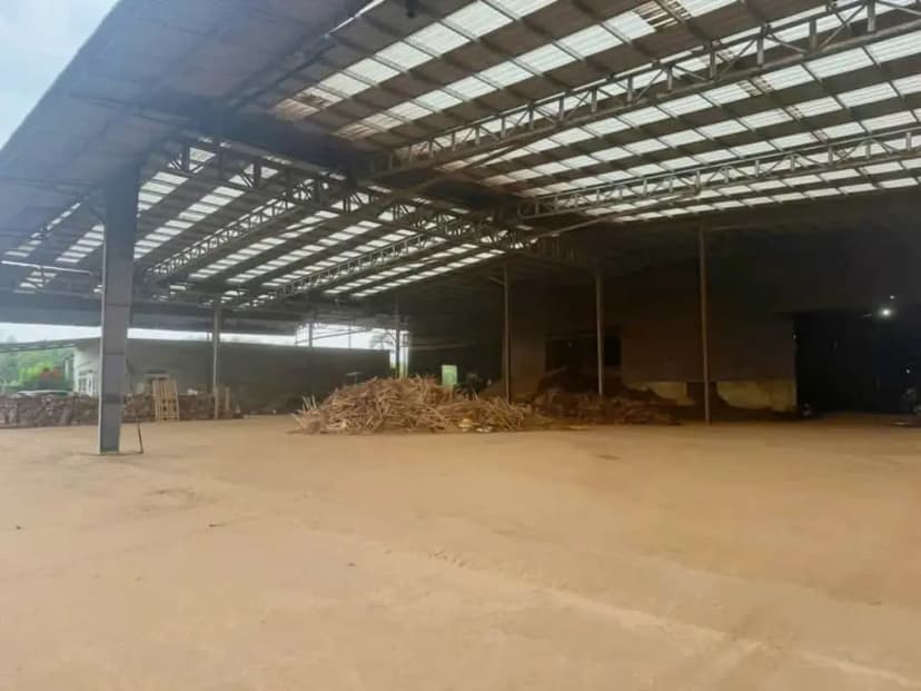 Cho Thuê Nhà Xưởng SKC 6000m² Phước Hòa, Phú Giáo - Đất 14.000m², Trạm Điện 1260kVA