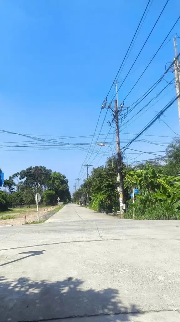Main-ĐẤT GẦN NGUYỄN VĂN KHẠ CỦ CHI,TÂN AN HỘI DT5X20m2, SỔ RIÊNG,XÂY TỰ DO-1