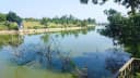 Thumb-🏞️ GIẢM CHÀO HƠN 3,5 TỶ BÁN NHANH - ĐẤT BÁM HỒ TỰ NHIÊN TẠI HÀ NỘI, KHOẢNG 3968m²; CÁCH TRUNG TÂM HN 40 PHÚT LÁI XE-9