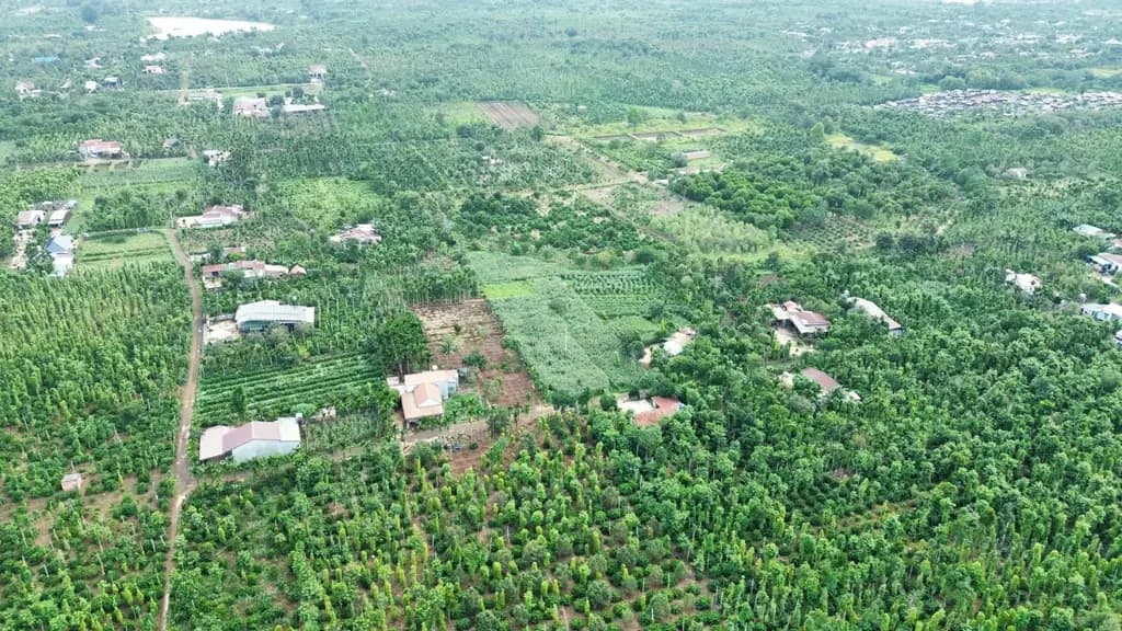 Main-MUA 5T BÁN LỖ 3.5 T --------Bán Đất gần hồ Việt Đức 4 2700m2 có sẵn 400 m2 thổ cư giá 3.5 tỷ tại Xã Ea Ning Huyện Cư Kuin Đắk Lắk-1