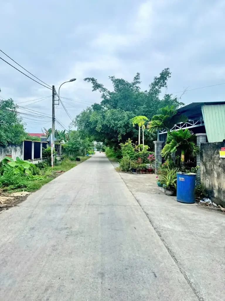 Main-Bán Đất 550m2 có sẵn 50 m2 thổ cư giá 1.5 tỷ tại Đường Nguyễn Thị Hẹ Xã Thái Mỹ Huyện Củ Chi TP. Hồ Chí Minh-2