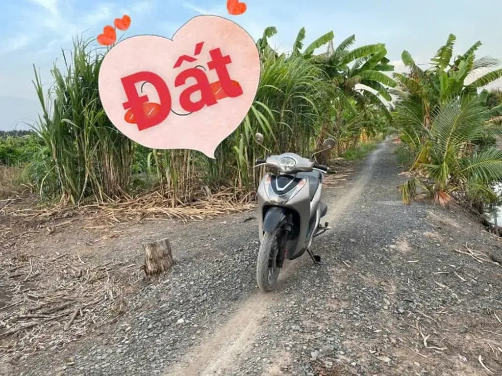 Main-Bán Đất 1000m2 giá 590 triệu tại - Chọn - Xã Bình Đức Huyện Bến Lức Long An-3