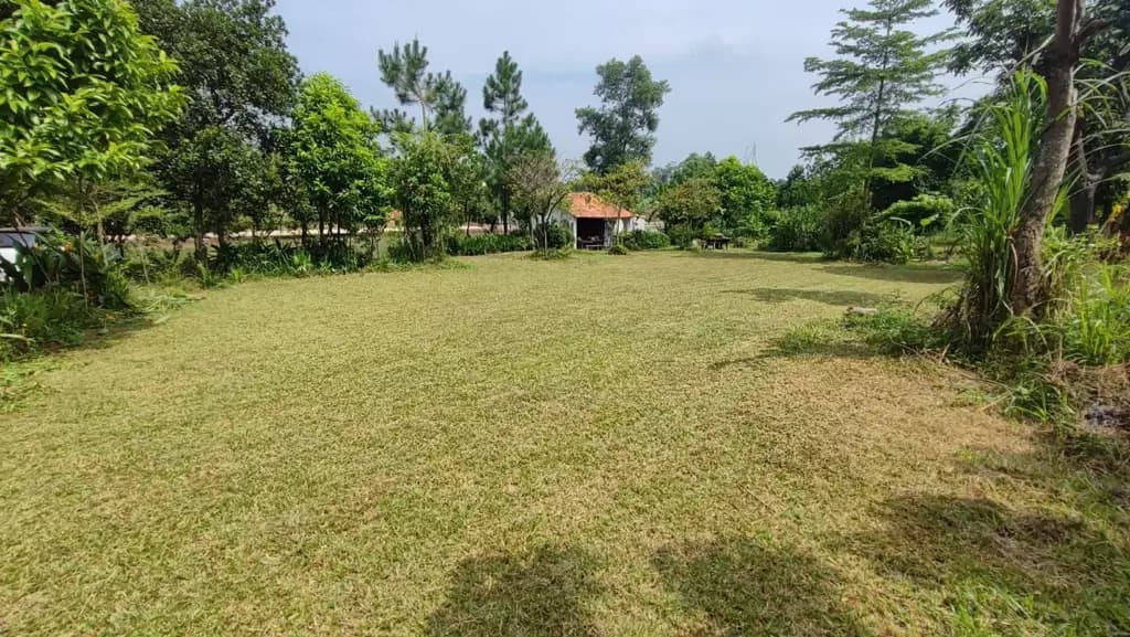 Main-🏞️ GIẢM CHÀO HƠN 3,5 TỶ BÁN NHANH - ĐẤT BÁM HỒ TỰ NHIÊN TẠI HÀ NỘI, KHOẢNG 3968m²; CÁCH TRUNG TÂM HN 40 PHÚT LÁI XE-4