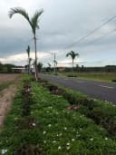Thumb-Bán Đất 220m2 có sẵn 122 m2 thổ cư giá 545 triệu tại - Chọn - - Chọn - Xã Minh Thạnh TP. Hồ Chí Minh-5