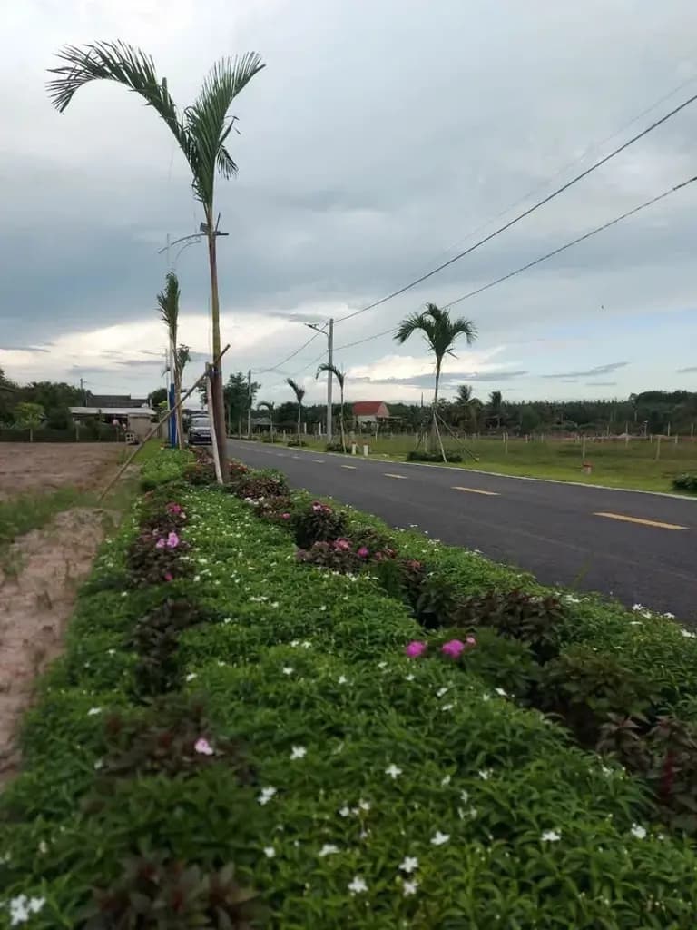 Main-Bán Đất 220m2 có sẵn 122 m2 thổ cư giá 545 triệu tại - Chọn - - Chọn - Xã Minh Thạnh TP. Hồ Chí Minh-4