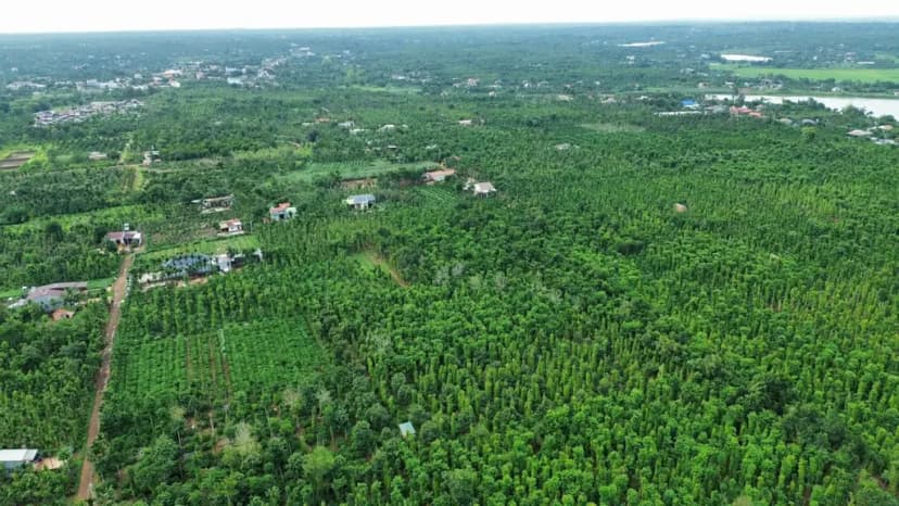 MUA 5T BÁN LỖ 3.5 T --------Bán Đất gần hồ Việt Đức 4 2700m2 có sẵn 400 m2 thổ cư giá 3.5 tỷ tại Xã Ea Ning Huyện Cư Kuin Đắk Lắk