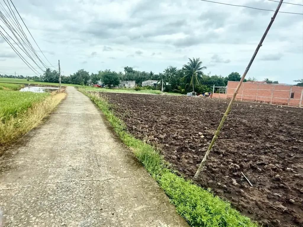 Main-❤️💚 290 TRIỆU – 105M² THỔ – MẶT TIỀN NGUYỄN THÀNH THUỘC ( sổ hồng riêng tân trụ long an) 🔥 Chỉ 290 triệu/lô – còn bớt lộc 📍 Có 3 lô, sổ riêng sẵn 📐 Diện tích: 5×21m = 105m², full thổ cư 🚗 Đường bê tông 4m, thể hiện trên sổ, dự kiến mở rộng lên 6m-3