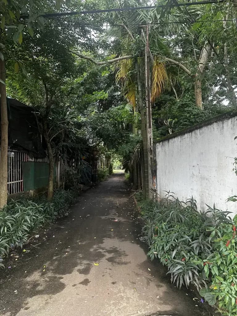 Main-Bán Kho, nhà xưởng 7448.6m2 có sẵn 300 m2 thổ cư giá 111.73 tỷ tại Đường Nguyễn Văn Linh - Chọn - Phường Tân An Đắk Lắk-5
