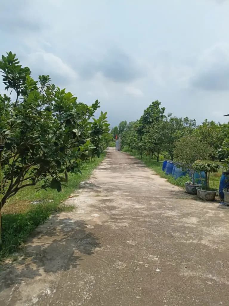 Main-Chính chủ bán đất mặt tiền đẹp - Cạnh tái định cư Sân bay Quốc tế Gia Bình, Bắc Ninh-0