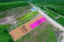 Thumb-🏡 ĐẤT THỔ CƯ KẾT HỢP VƯỜN VIEW KÊNH – THẠNH HÒA, BẾN LỨC 📐 Diện tích: 500m²/lô, gồm 120m² đất thổ cư. Có 2 lô liền kề, mua tổng 1.000m² được. 💰 Giá bán: 575 triệu/lô, còn thương lượng. 📍 Vị trí: Thạnh Hòa – Thạnh Lợi mới, huyện Bến Lức, Long An.-1