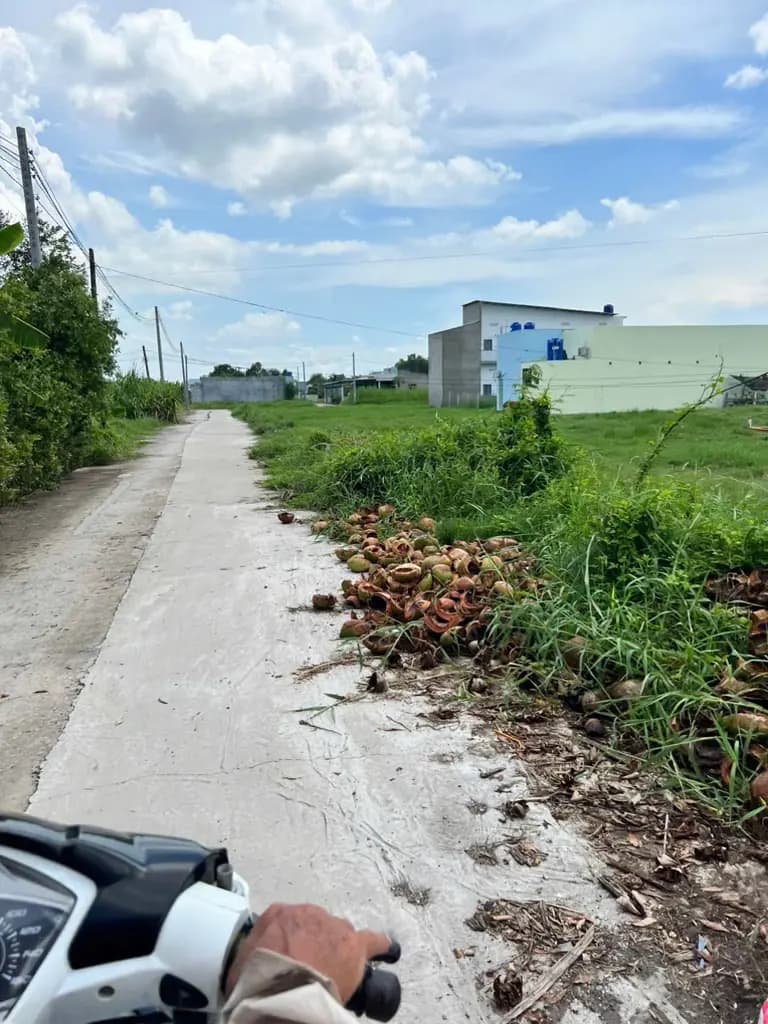 Main-Đất nền-1