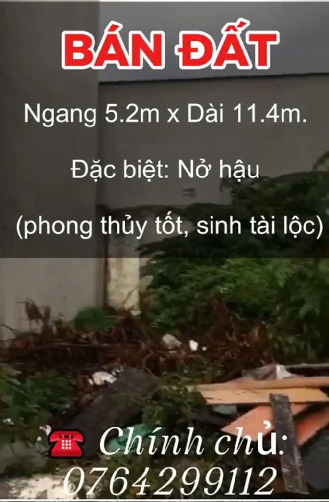 Main-BÁN ĐẤT THỔ CƯ NỞ HẬU – LONG TRƯỜNG, Q9 (TP. THỦ ĐỨC)-2