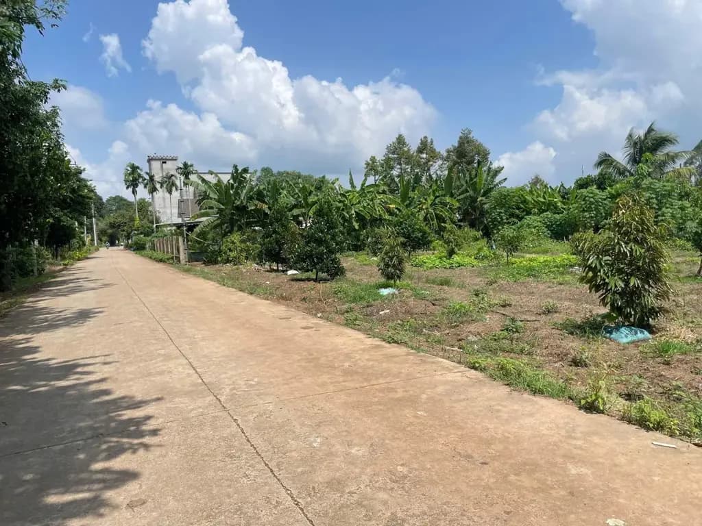 Main-Bán Đất 488m2 có sẵn 200 m2 thổ cư giá 590 triệu tại Đường DH507 Xã An Long, Tp. HCM-0