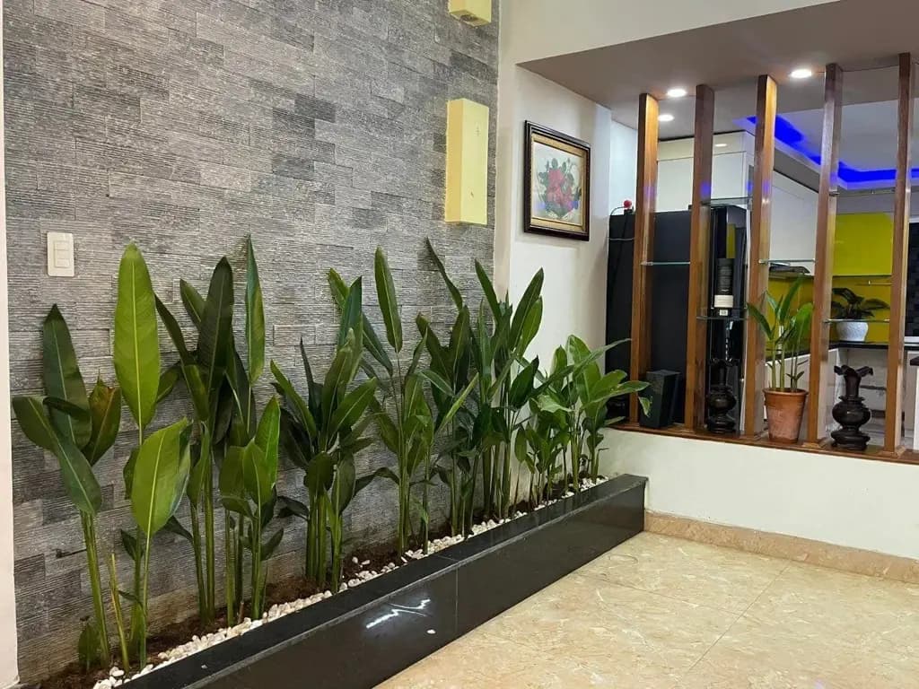Main-CHO THUÊ NHÀ 3T MT ĐỖ HUY UYỂN, SƠN TRÀ-27TR-3