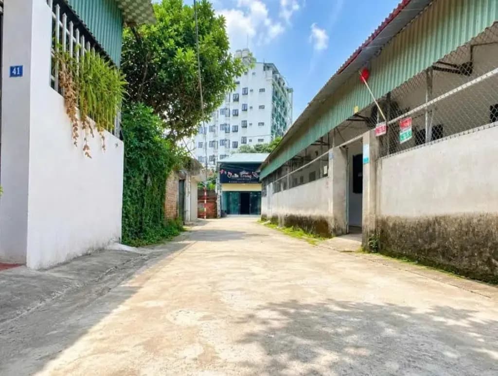Main-Bán Đất 100m2 có sẵn 100 m2 thổ cư giá 1.6 tỷ tại - Chọn - Xã Hạ Bằng Huyện Thạch Thất Hà Nội-0