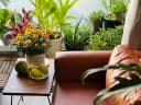 Thumb-Nhanh Thuê Căn hộ D’Lusso & Precia Nguyễn Thị Định, An Phú, Q2 Giá tốt đón lễ 2/9-4