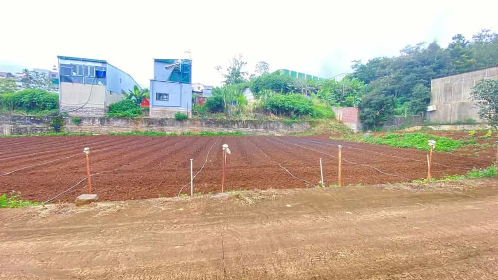 Main-Đất nền ngay trung tâm đức trọng, lâm đồng chỉ 1,1 tỷ-1