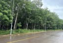 Thumb-Bán Đất Mặt Tiền 5830m2 có sẵn 100 m2 thổ cư giá 4tỷ9xx Chơn Thành 53x110-6