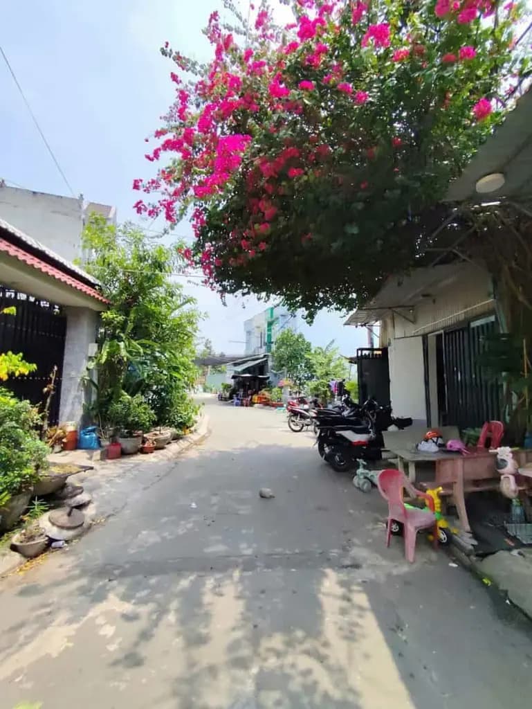 Main-Bán lô đất thổ cư xã Bà Điểm 13x14m, đường nhựa 7m, gần chợ Đầu Môi. Giá 6,4 Tỷ (1)-1