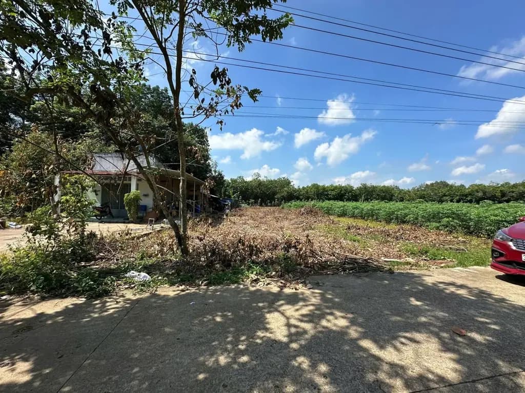 Main-Bán đất 6x57 thổ cư, cách đường lớn đúng 100m, có điện, nước máy ở Bình Dương-0