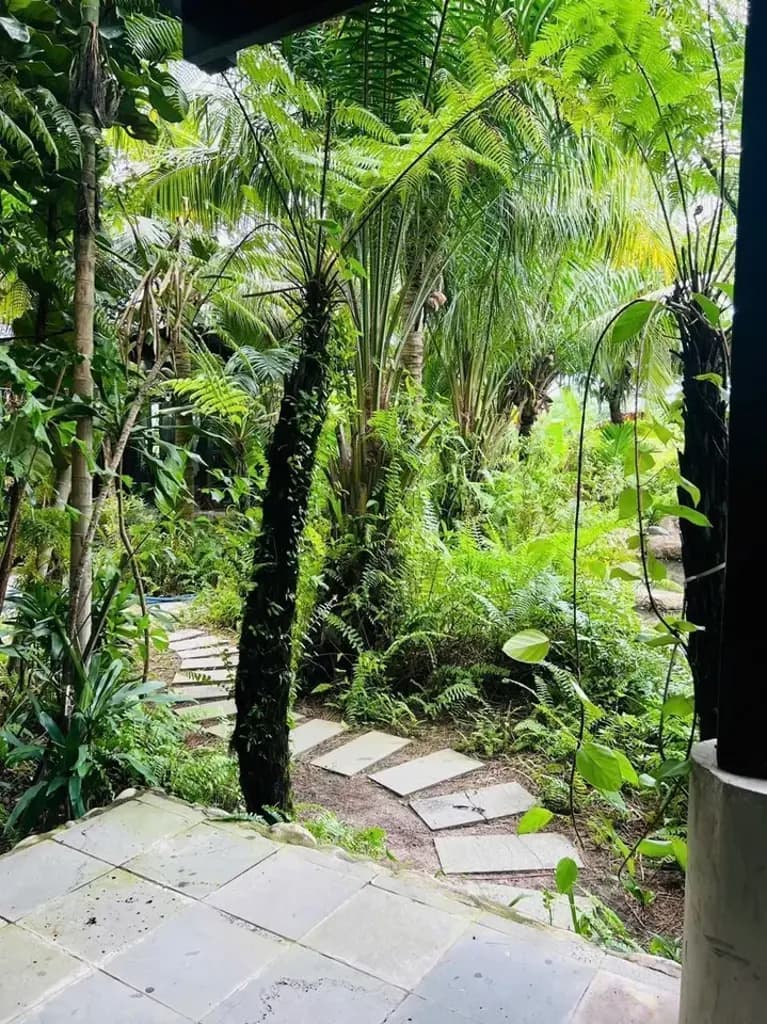 Main-Bán Nhà riêng 1400m2 giá 6 tỷ 500 chính cần bán gấp ạ Chọn - Xã Bình Châu Huyện Xuyên Mộc Bà Rịa - Vũng Tàu-9